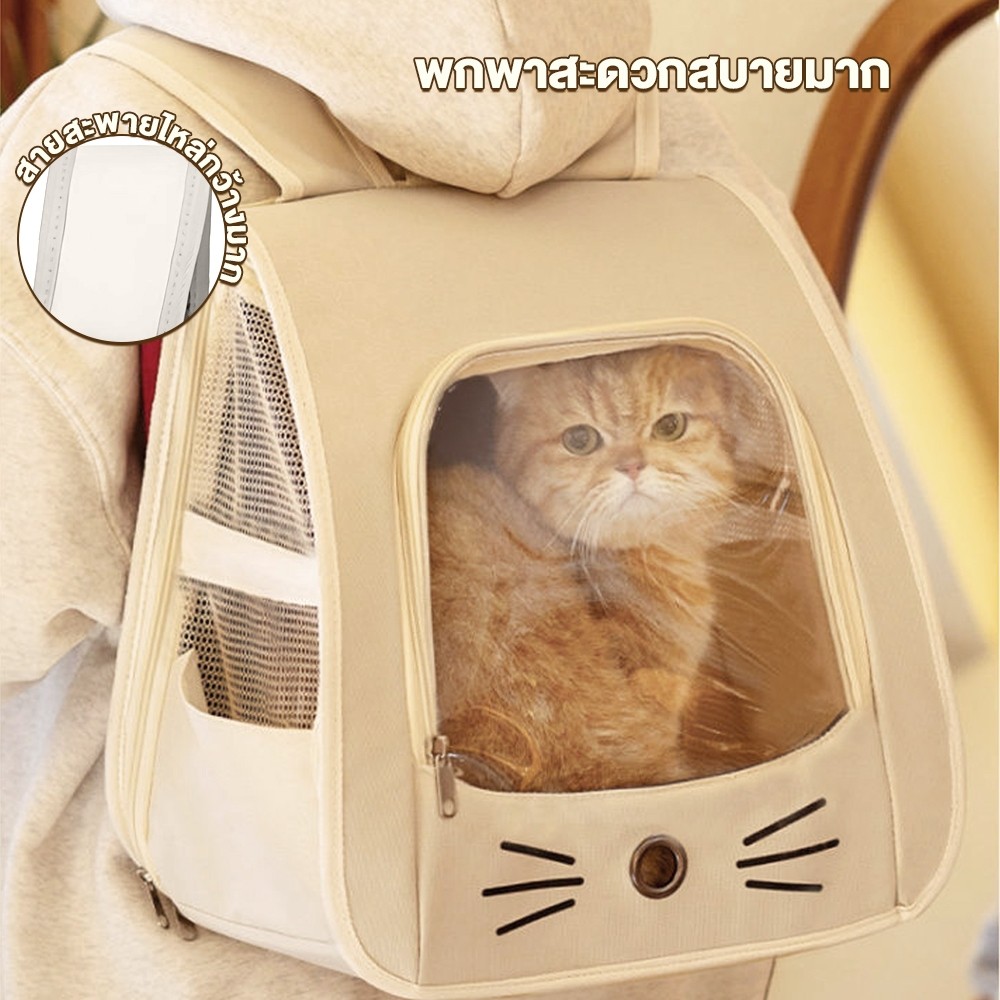 PetStern กระเป๋าแมว พับเก็บได้ ระบายอากาศได้ หน้าต่างกันสาดสองด้าน เป้สัตว์เลี้ยง 4สี